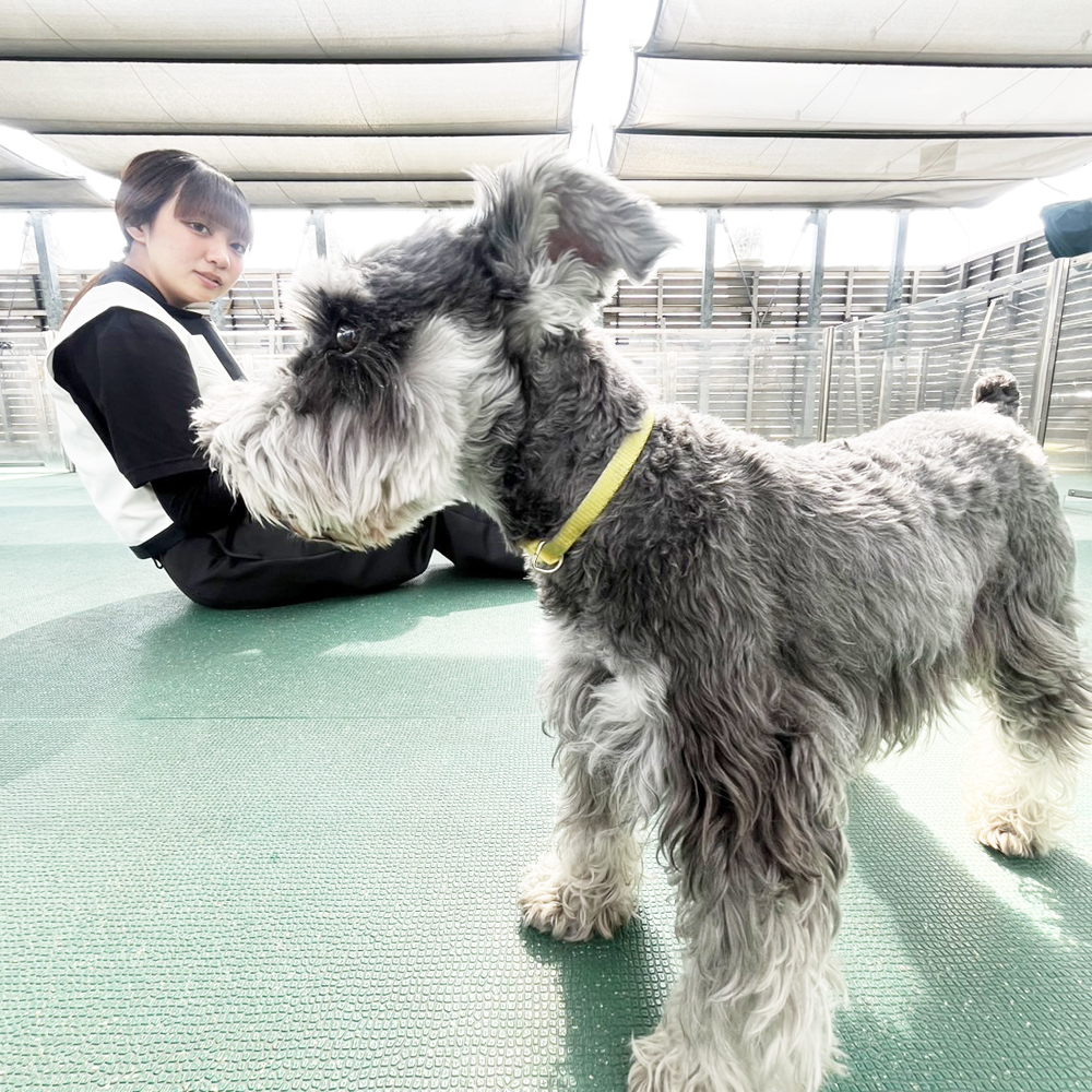 生徒が撮影したモデル犬たち♪②
